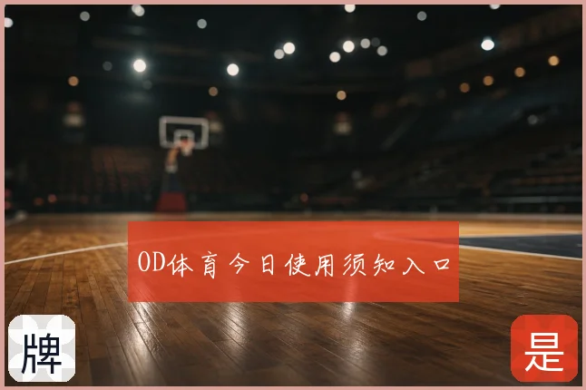 OD体育今日使用须知入口