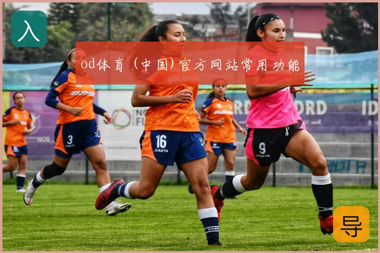 od体育 (中国)官方网站常用功能